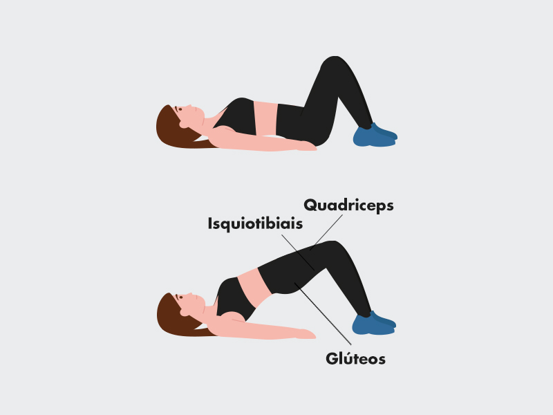 Mesa flexora  Exercícios para coxa, Coxas, Muscular