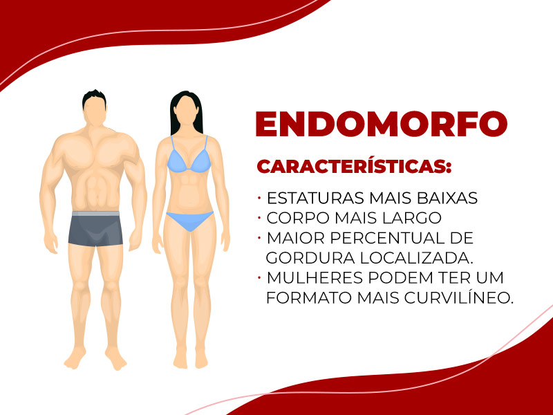 imagem ilustrativa das características do endomorfo