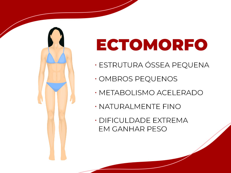 O que é ectomorfo?