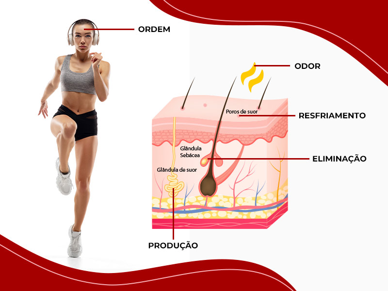 Ilustração de uma mulher correndo e o processo que o corpo passa para produzir o suor